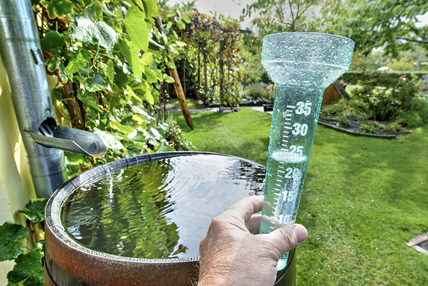 Voll mit Wasser gefüllte Regentonne im Garten